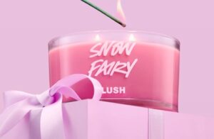 Lush finally bows to customers and launches loyalty club ...